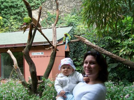 1er zoo