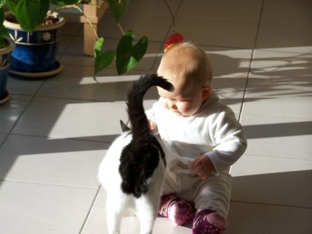 Ma peluche vivante