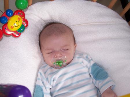 1er dodo dans mon parc